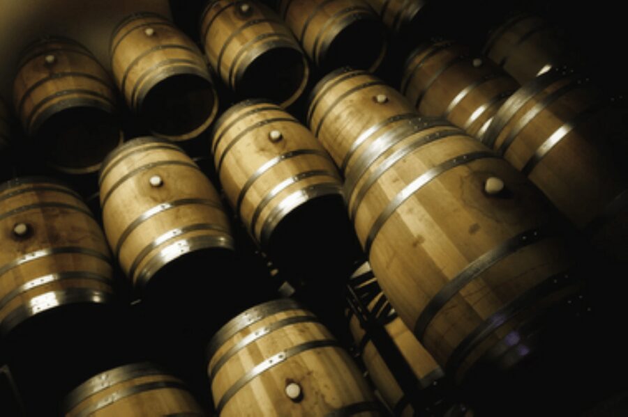 Mallorca: Bodega Butxet Vineyards & Winery Tour with Tasting - Quick take: what makes Bodega Butxet worth your time