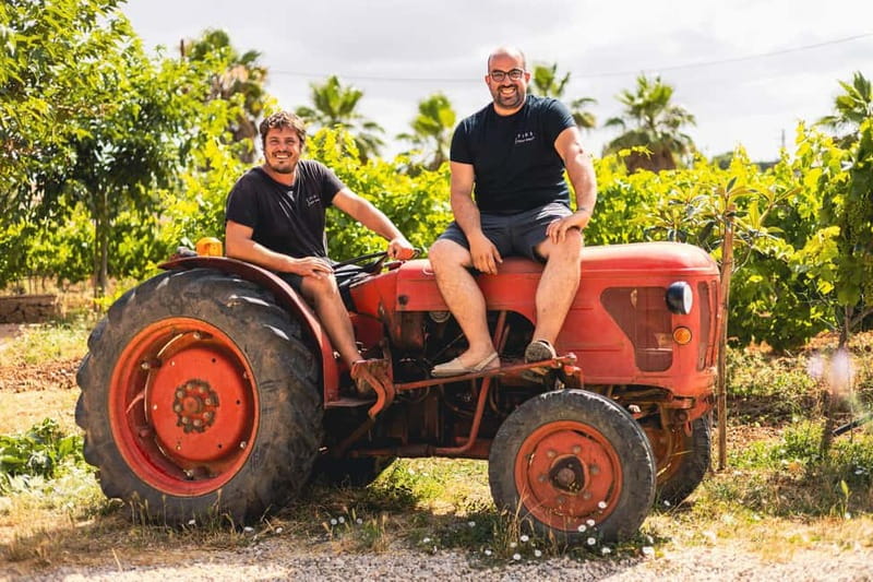 Mallorca: Winery visit and wine tasting, with Mallorcan products - Key points about the Santa Maria wine visit