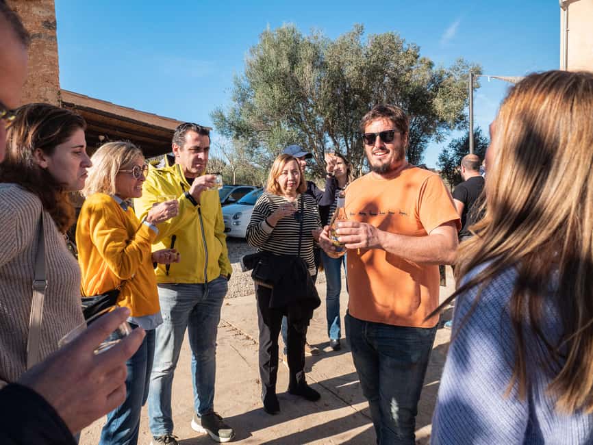 Mallorca: Winery visit and wine tasting, with Mallorcan products - The practical route from meeting point to finish