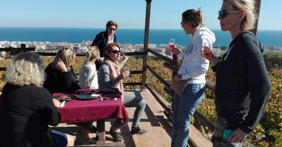 Manilva: Nilva Vineyard, Wine Tasting & Tapas Guided Tour - Why this small Manilva tour feels different
