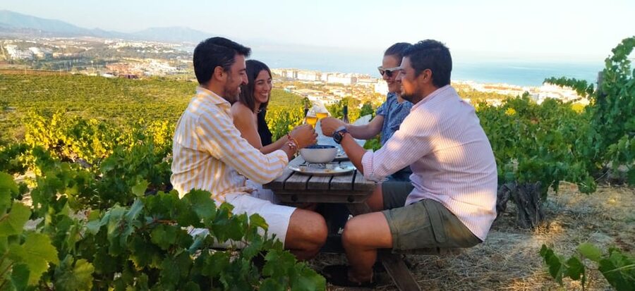 Manilva: Nilva Vineyard, Wine Tasting & Tapas Guided Tour - Inside Nilva’s small artisan winery