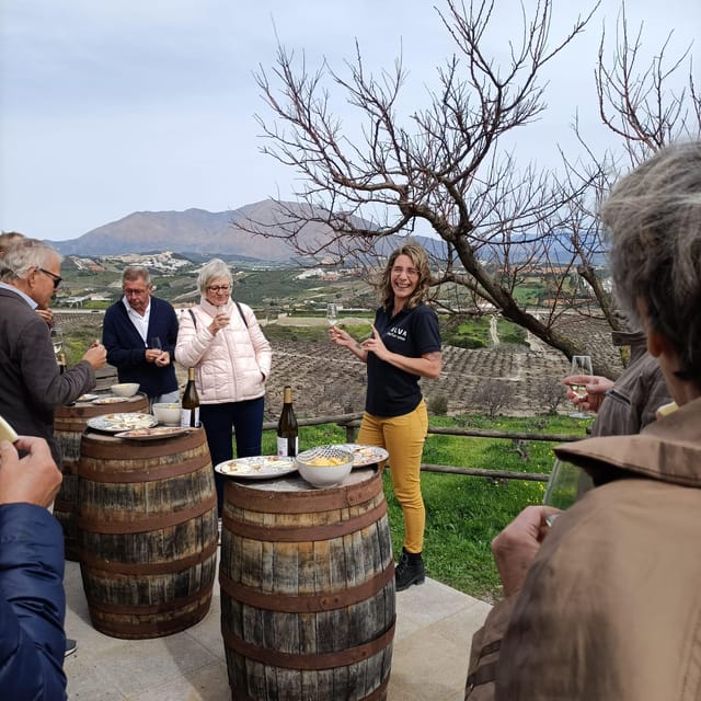 Manilva: Nilva Vineyard, Wine Tasting & Tapas Guided Tour - Walking or driving to Viña del Peñoncillo