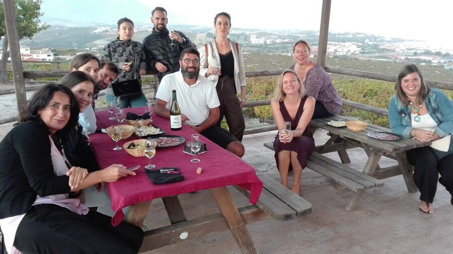 Manilva: Nilva Vineyard, Wine Tasting & Tapas Guided Tour - Wine, tapas, and views toward Africa