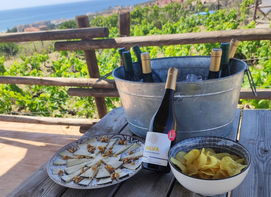 Manilva: Nilva Vineyard, Wine Tasting & Tapas Guided Tour - Who will enjoy this most