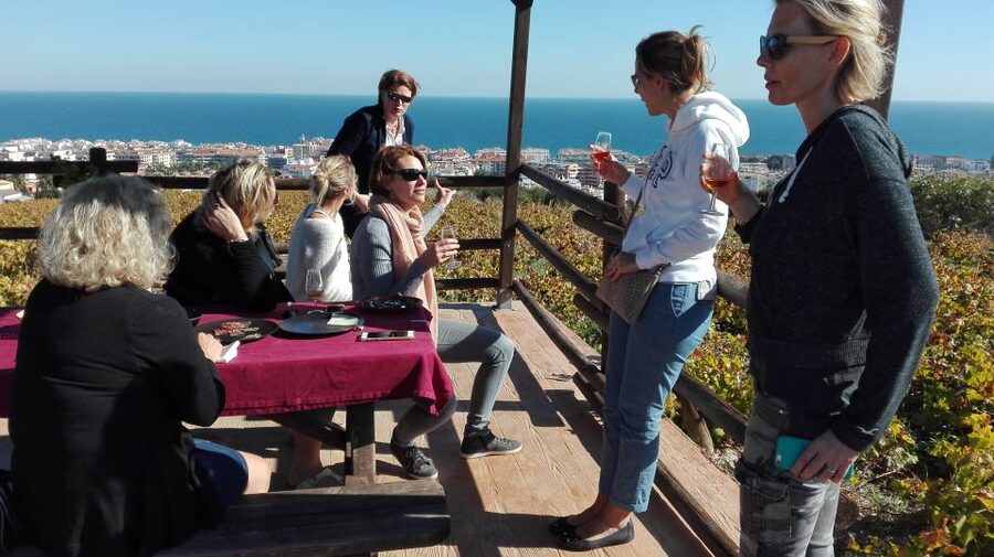 Manilva: Nilva Vineyard, Wine Tasting & Tapas Guided Tour - Starting at CIVIMA, Manilva’s wine museum