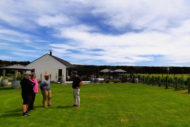 Martinborough Winery and Foodie Day Tour with vineyard lunch - What the small-group format adds