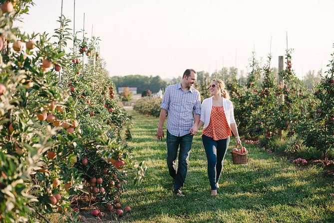 Mattituck Bike Wine Country and Fruit Orchard Tour - What the $141.99 price includes