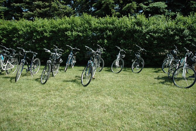 Mattituck Bike Wine Country and Fruit Orchard Tour - Safety, pace, and physical demands