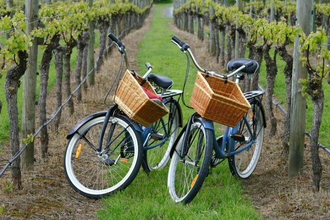 Mattituck New York Guided Farm and Wine Country Bike Tour - Key points at a glance