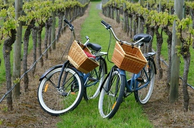 Mattituck New York Guided Farm and Wine Country Bike Tour - The beach stop and oil tasting