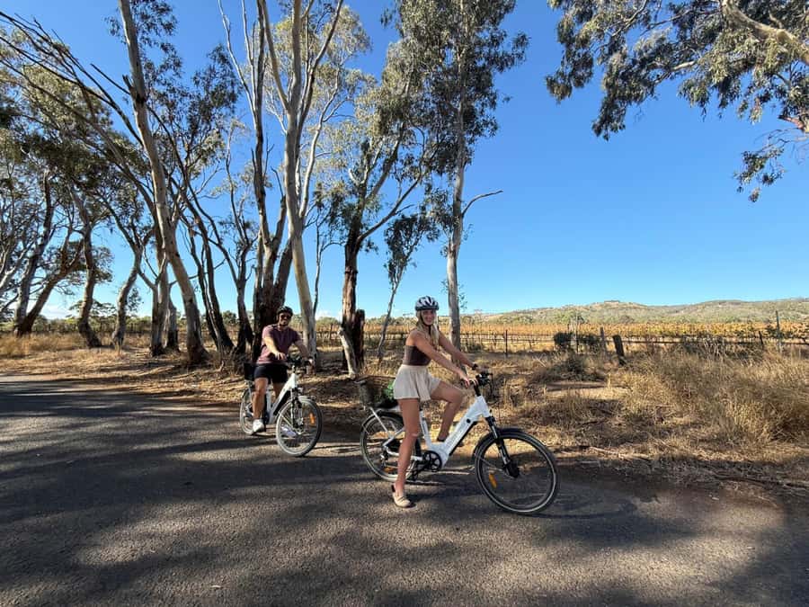 McLaren Vale: E-Bike Rental to Explore the Vineyards - Starting at the SA eBikes hire base