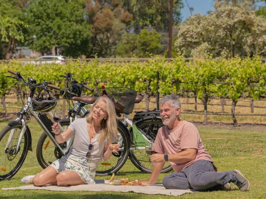 McLaren Vale: E-Bike Rental to Explore the Vineyards - Building your own route through the wine district