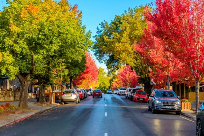 McLaren Vale Wine Region via Hahndorf Full-Day Tour from Adelaide - Choosing wineries gives the day some flexibility