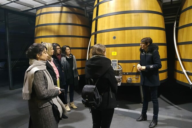 Medoc Region Wine Day Trip with Vineyard Visits & Tastings from Bordeaux - Why the Médoc makes a fine day trip from Bordeaux
