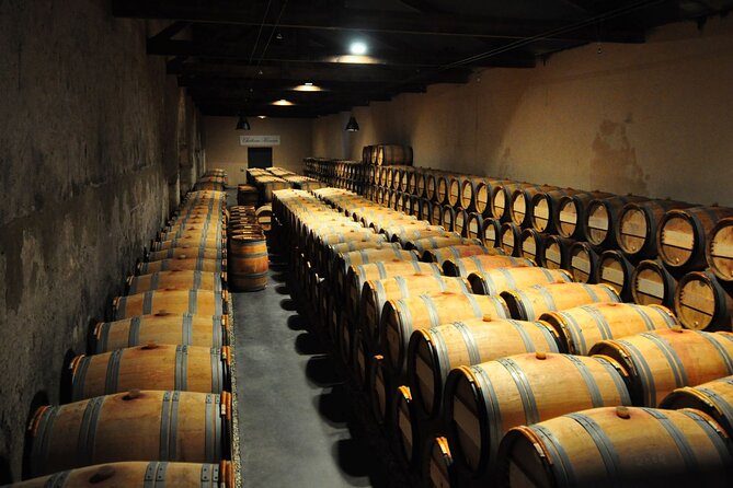 Medoc Region Wine Day Trip with Vineyard Visits & Tastings from Bordeaux - Pauillac gives you a useful break