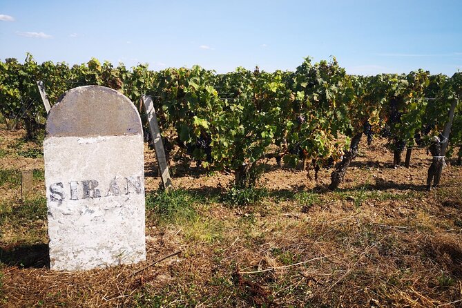 Medoc Region Wine Day Trip with Vineyard Visits & Tastings from Bordeaux - Is $266.16 a fair price?