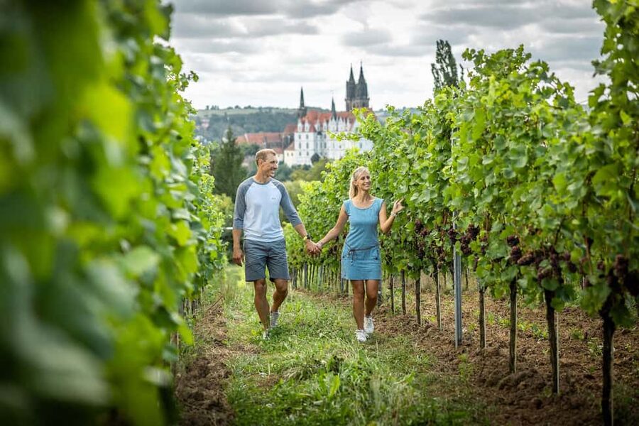 Meißen: Wine hike in the Proschwitzer vineyards including a 3-part wine tasting - Practical preparation for the three hours