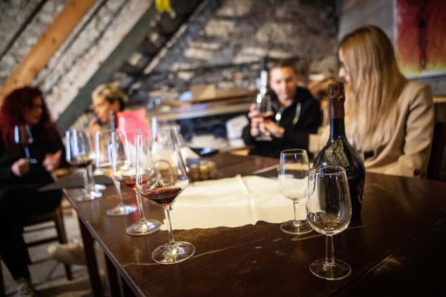 Mezzocorona: Teroldego Vineyard Tour and Wine Tasting - Why Mezzocorona is a good place for a vineyard visit