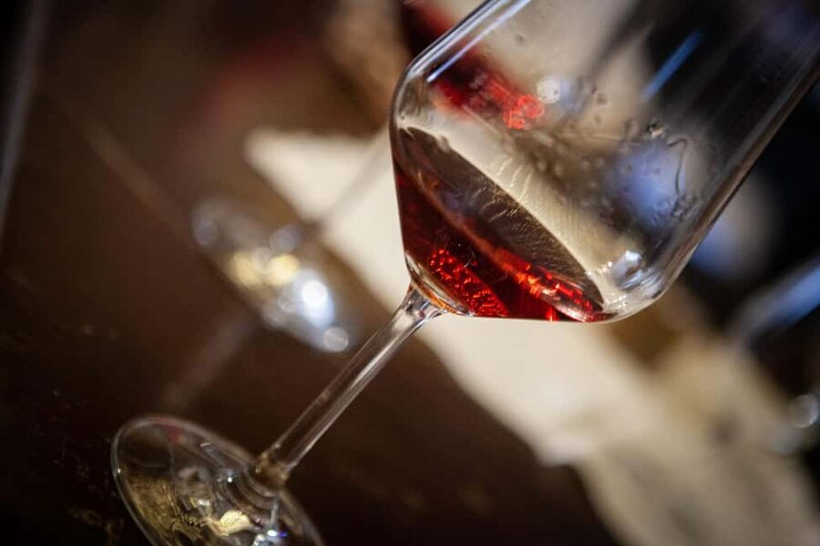 Mezzocorona: Teroldego Vineyard Tour and Wine Tasting - Meeting Nadia and the human side of the visit