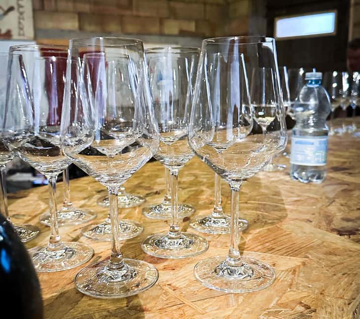 Mezzocorona: Teroldego Vineyard Tour and Wine Tasting - Speck, salami, and Trentino cheese