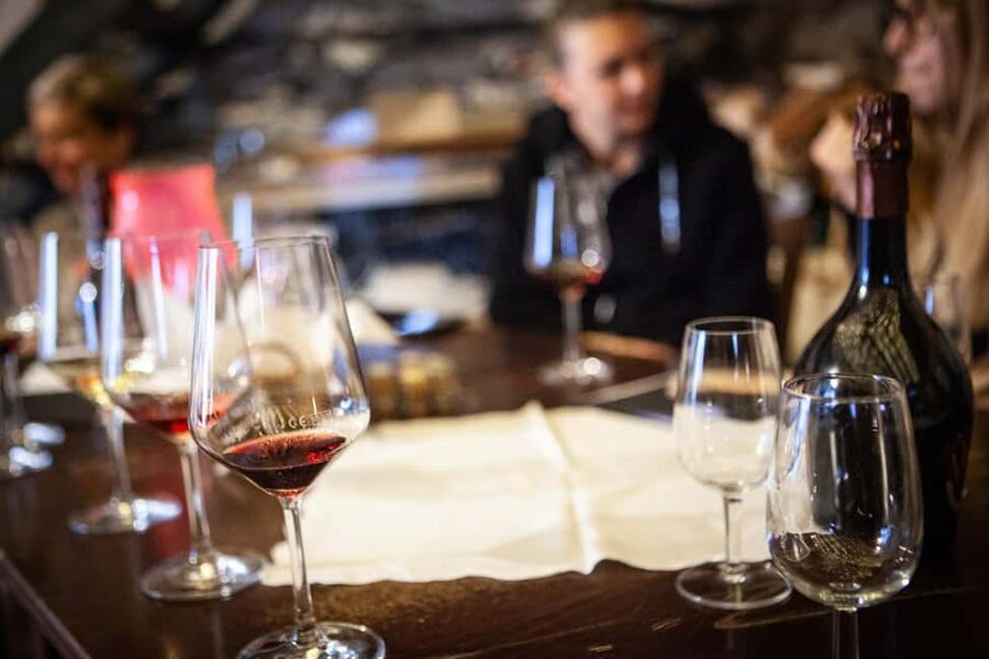 Mezzocorona: Teroldego Vineyard Tour and Wine Tasting - Timing, access, and practical comfort