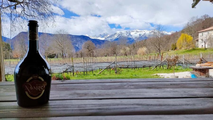 Mezzocorona: vineyard Tour on Mount and tasting of 3 wines - How the guides shape the experience