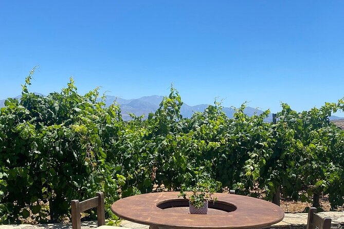 Minoan Crete: Knossos Palace, Winery Visit and Lunch at Peza - What the $228.29 price really buys