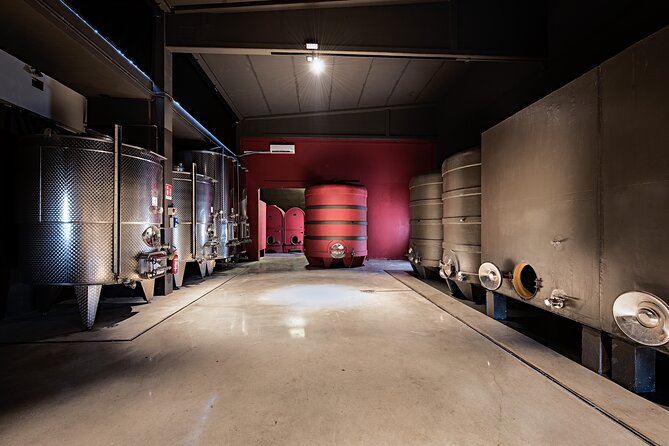 Monferrato (Asti): Wine Tour with light lunch picnic in the vineyards - The vineyard and olive orchard picnic
