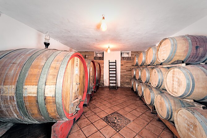 Monferrato (Asti): Wine Tour with light lunch picnic in the vineyards - Why the small group makes a difference
