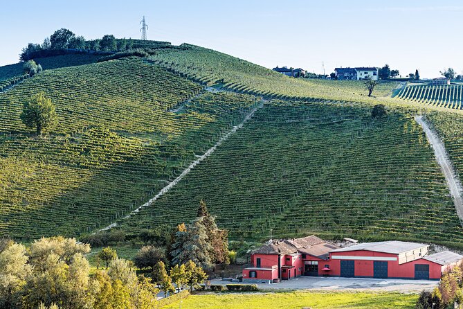 Monferrato (Asti): Wine Tour with light lunch picnic in the vineyards - Who will enjoy this experience most?