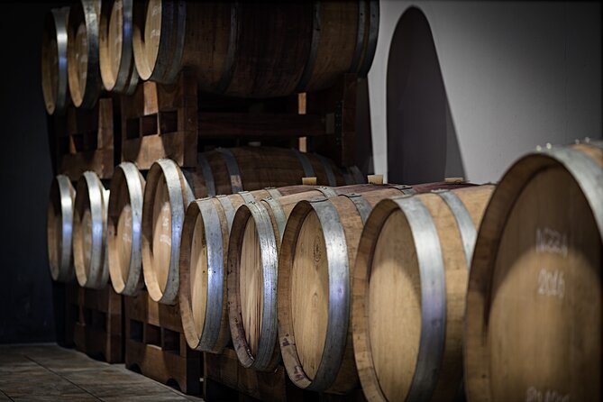 Monferrato (Asti): Wine Tour with light lunch picnic in the vineyards - Arriving at Agliano Terme at 11:30 a.m.
