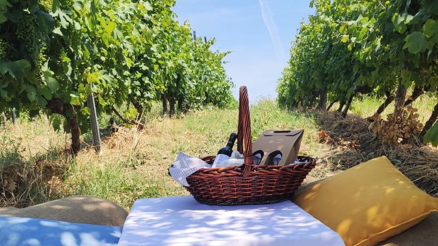 Monferrato: Garetto Wine Estate Tour and Picnic Private - Tasting Piedmont wines without the fuss