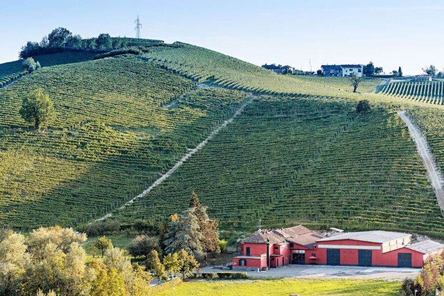 Monferrato: Garetto Wine Estate Tour and Picnic Private - The Monferrato hills and UNESCO setting