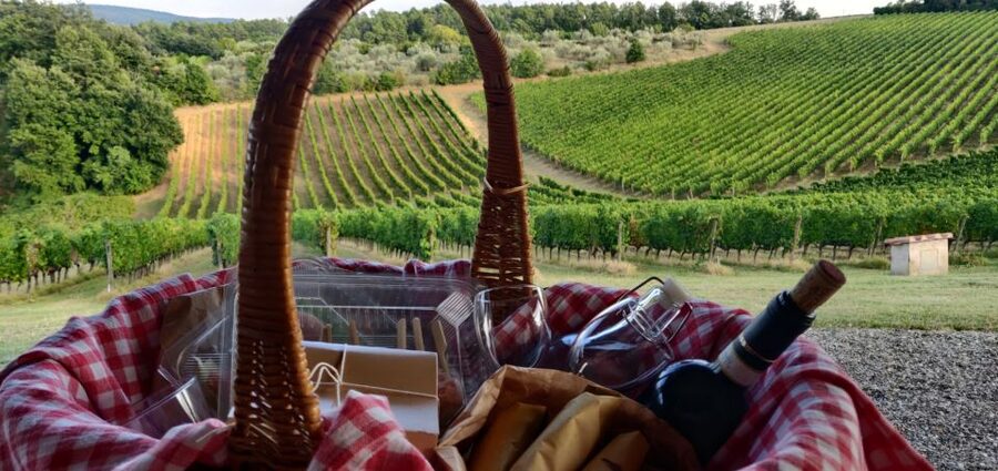 Monferrato: Garetto Wine Estate Tour and Picnic Private - A self-guided vineyard walk after the tasting