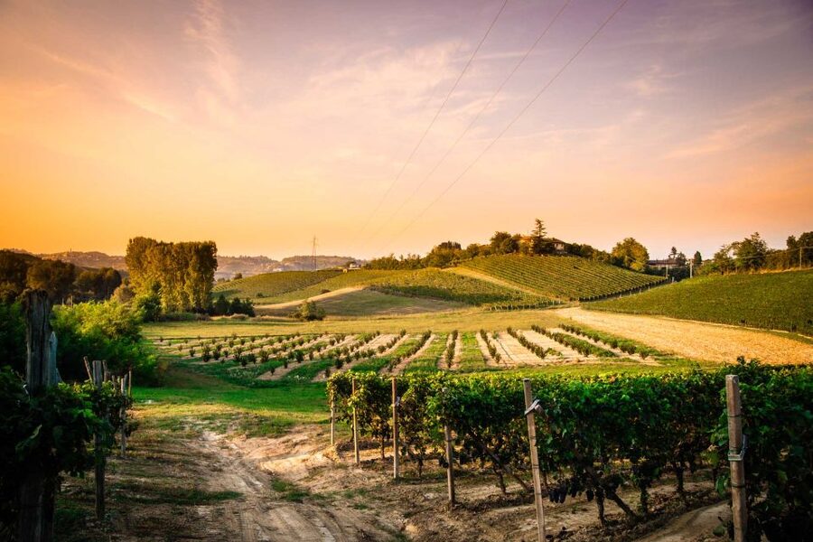 Monferrato: Garetto Wine Estate Tour and Picnic Private - Timing, language, and practical planning