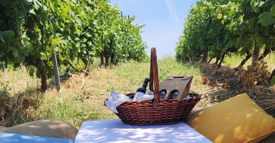 Monferrato: Garetto Wine Estate Tour and Picnic Private - Entering the cellar with the Garetto owners