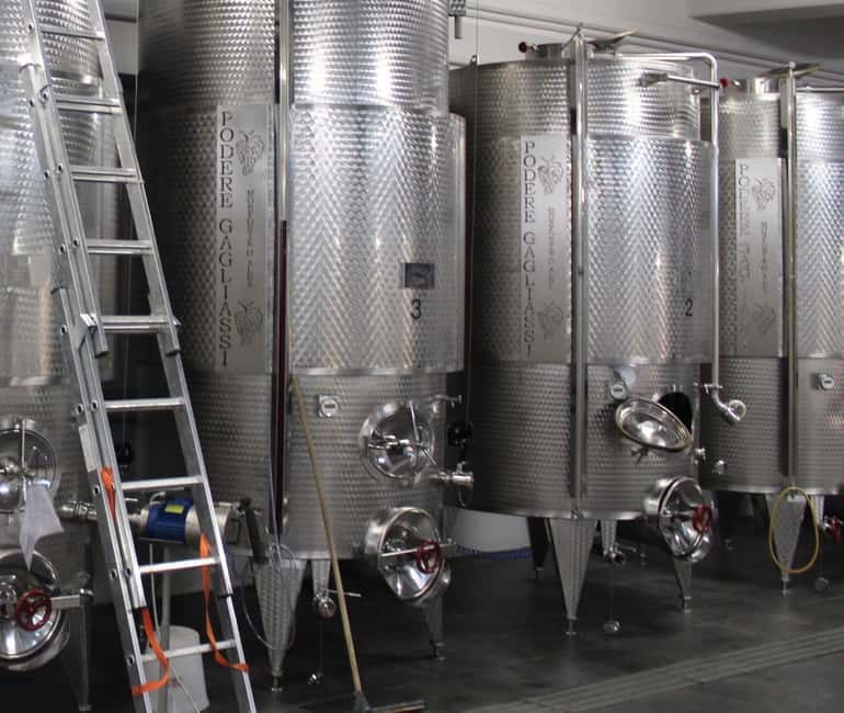 Monforte d'Alba: Wine Tasting, Cellar Visit, and Vineyard Tour - Inside the underground cellar