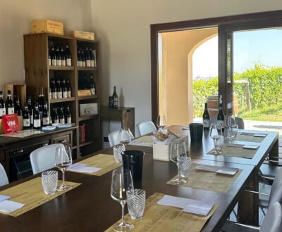 Monforte d’Alba: Wine Tasting, Cellar Visit, and Vineyard Tour