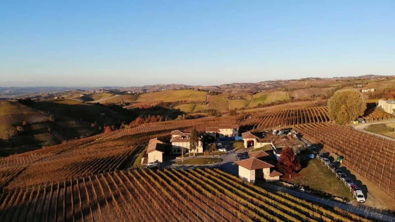Monforte d'Alba: Wine Tasting, Cellar Visit, and Vineyard Tour - Who will enjoy this experience most
