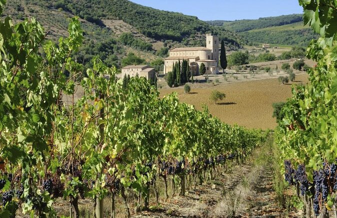 Montalcino Castle and Vineyards tour with tasting - Key things to know before you go