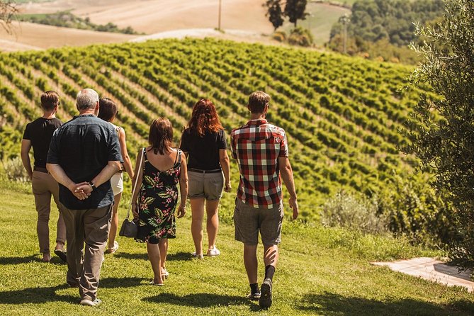 Montalcino Castle and Vineyards tour with tasting - Arriving at Castello Tricerchi near Montalcino