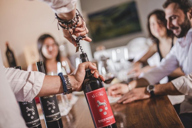 Montalcino Castle and Vineyards tour with tasting - Who will enjoy this short estate visit?