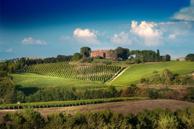 Montalcino: Castle and Vineyards Tour with Tasting - Entering the 600-year-old castle