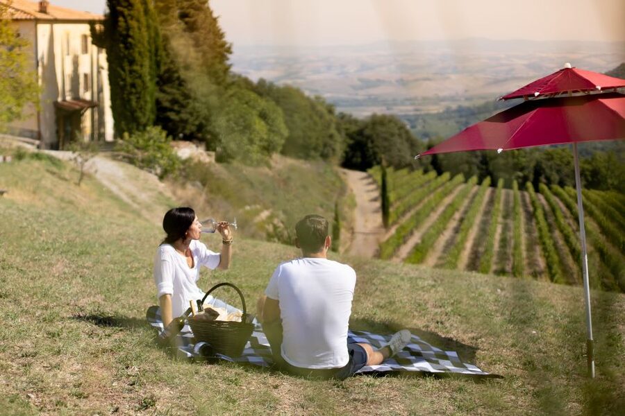 Montalcino: Vineyard Picnic with a Bottle of Wine - Key points at a glance