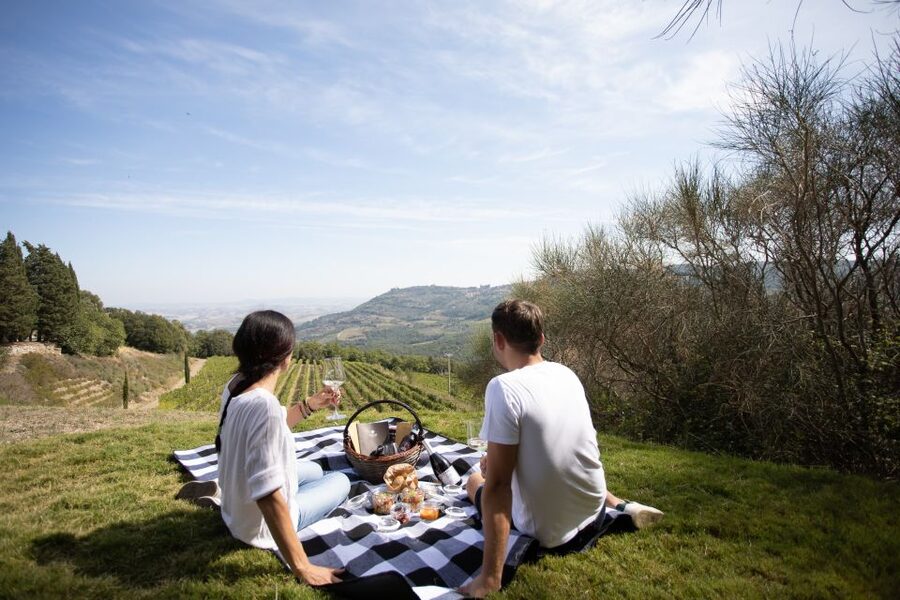 Montalcino: Vineyard Picnic with a Bottle of Wine - Why this Montalcino picnic works so well