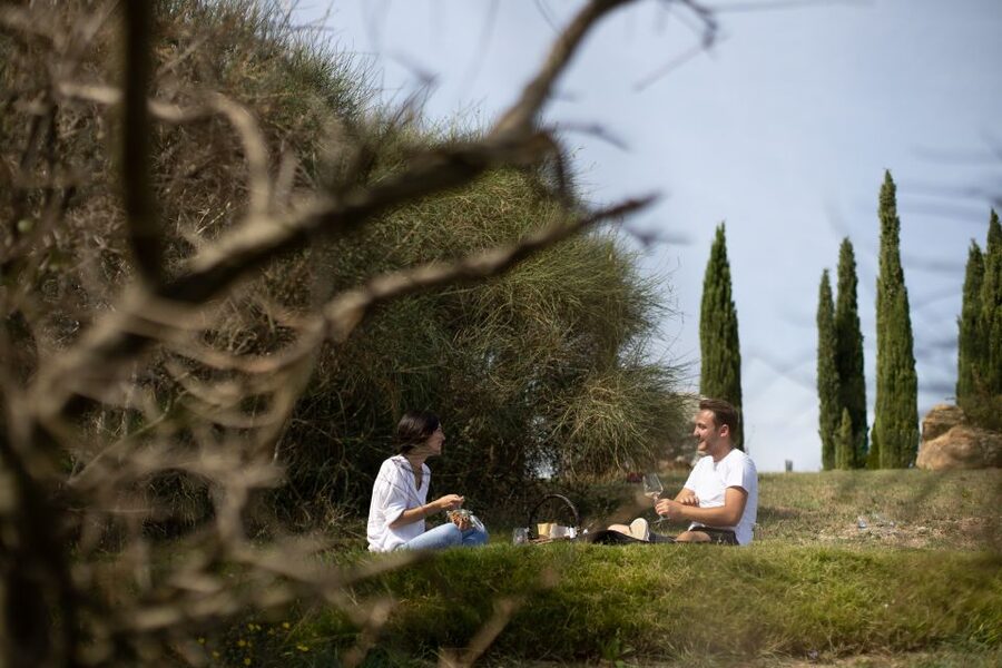 Montalcino: Vineyard Picnic with a Bottle of Wine - The one-hour walk through vines and cellar