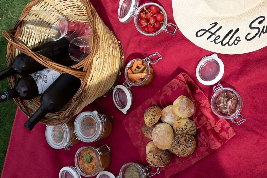 Montalcino: Vineyard Picnic with a Bottle of Wine - The picnic: homemade food among the vines