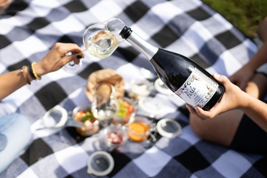 Montalcino: Vineyard Picnic with a Bottle of Wine - Who should book this experience?