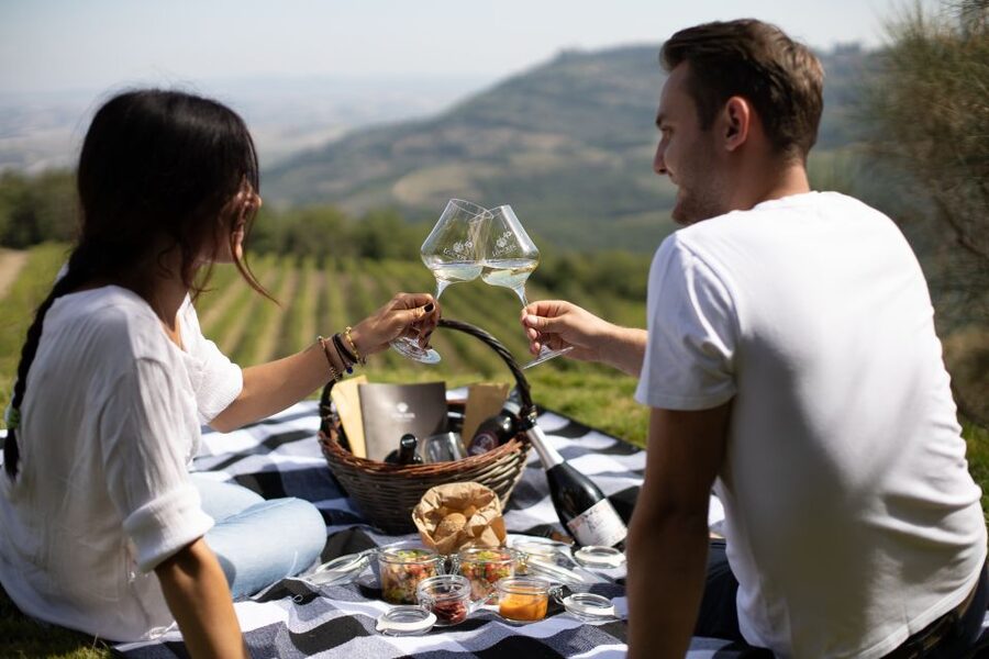 Montalcino: Vineyard Picnic with a Bottle of Wine - Finding Corte Pavone from Montalcino
