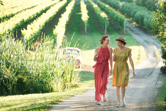 Montalto Vineyard: Mornington Peninsula Discovery Wine Tasting and Lunch - Key points at a glance